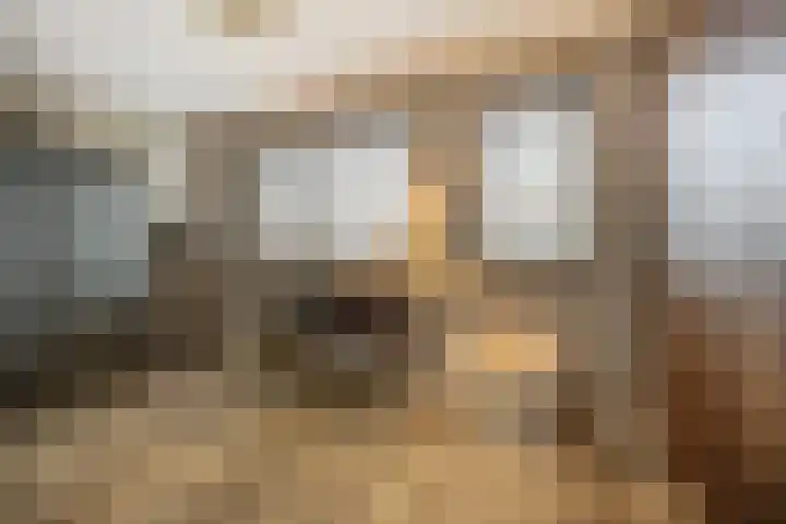Hof De Hoop 2 Etten-Leur thumbnail 30