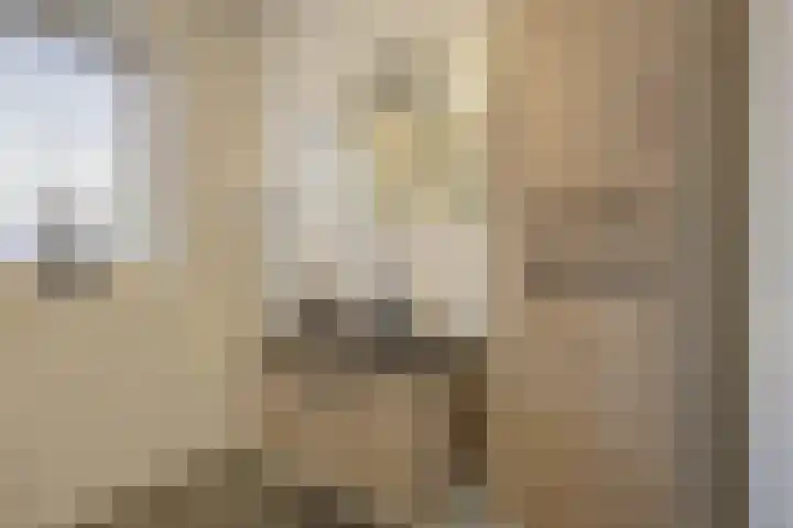 Hof De Hoop 2 Etten-Leur thumbnail 33