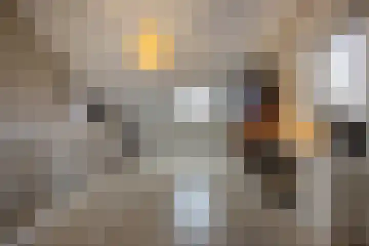 Hof De Hoop 2 Etten-Leur thumbnail 37