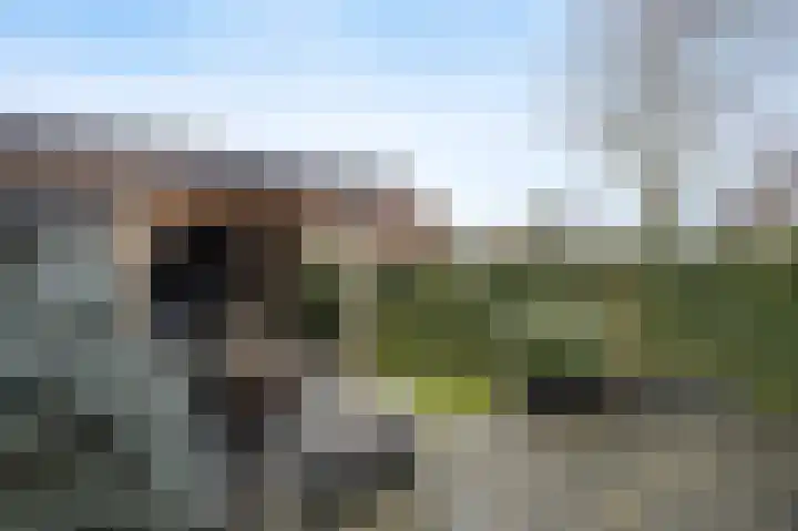 Hof De Hoop 2 Etten-Leur thumbnail 40