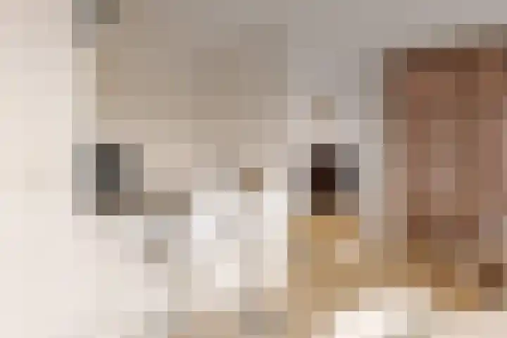 Hof de Volharding 1 Zwolle thumbnail 11