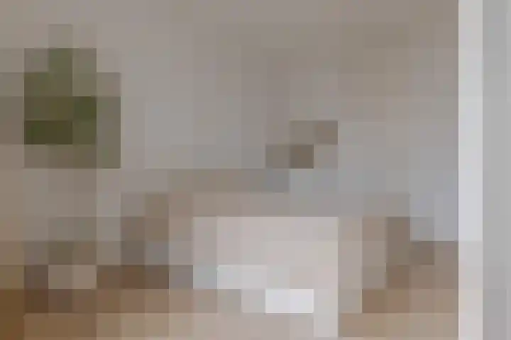 Hof de Volharding 1 Zwolle thumbnail 26