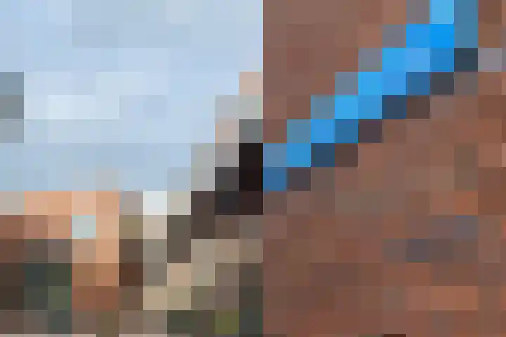 Hof de Volharding 1 Zwolle thumbnail 34