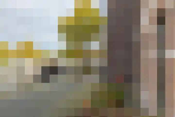 Hof de Volharding 1 Zwolle thumbnail 36