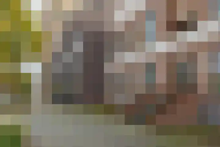 Hof de Volharding 1 Zwolle thumbnail 6