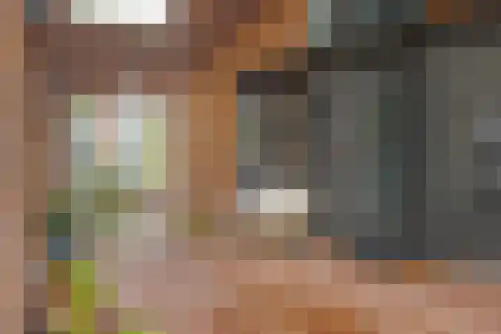 Hof de Volharding 1 Zwolle thumbnail 7
