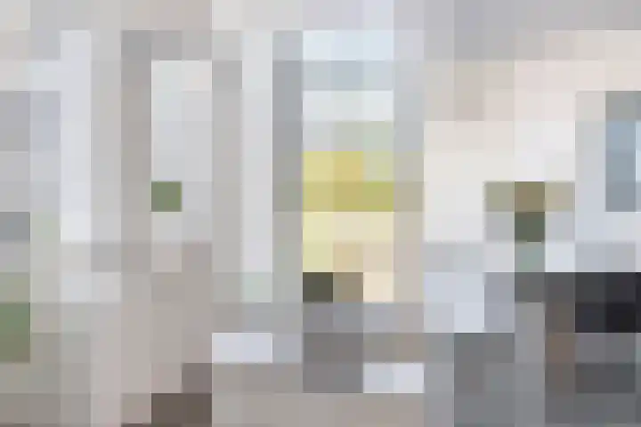 Hof de Volharding 2 Zwolle thumbnail 10