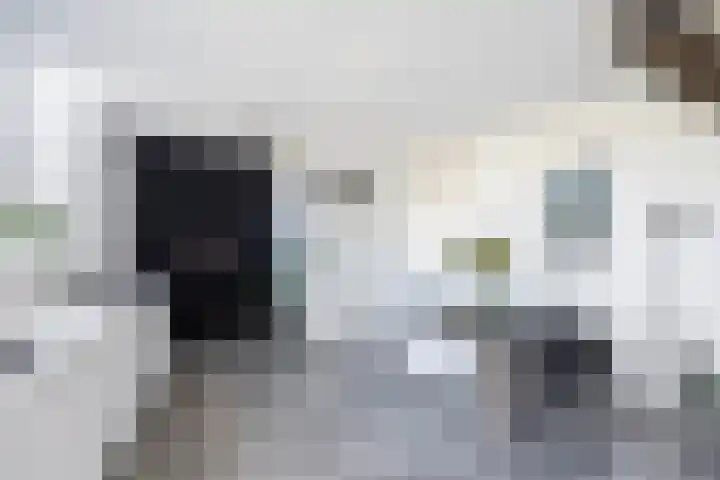 Hof de Volharding 2 Zwolle thumbnail 11