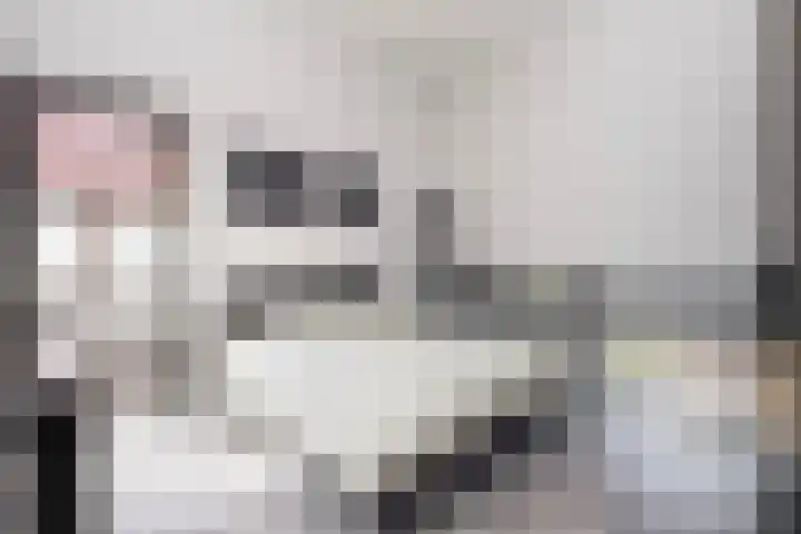 Hof de Volharding 2 Zwolle thumbnail 15