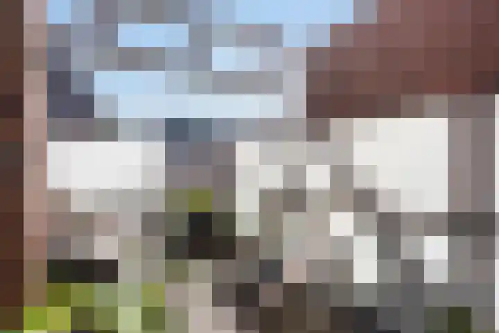 Hof de Volharding 2 Zwolle thumbnail 24