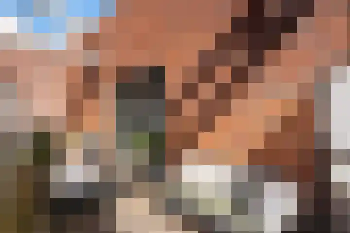Hof de Volharding 2 Zwolle thumbnail 25