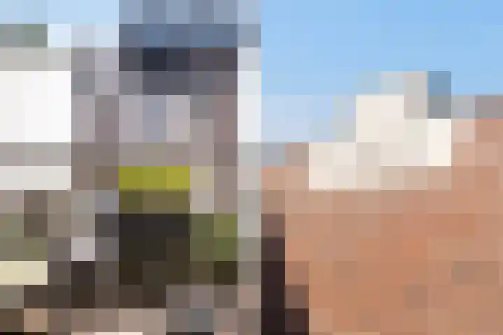 Hof de Volharding 2 Zwolle thumbnail 26