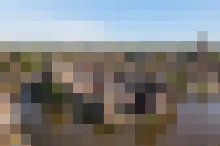 Hof de Volharding 2 Zwolle thumbnail 29