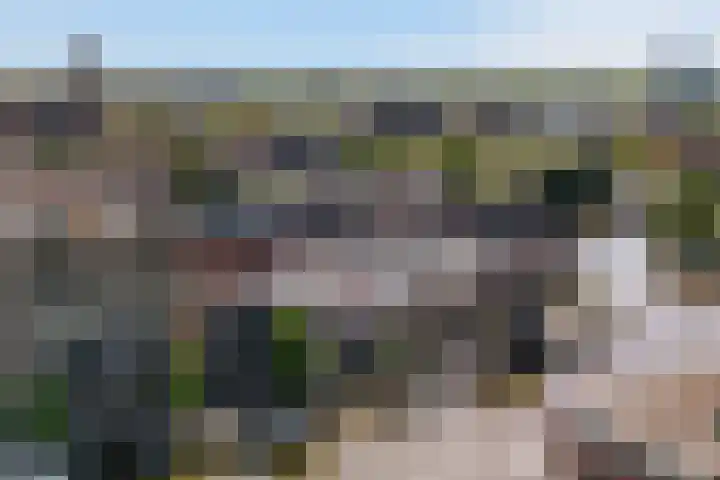 Hof de Volharding 2 Zwolle thumbnail 30