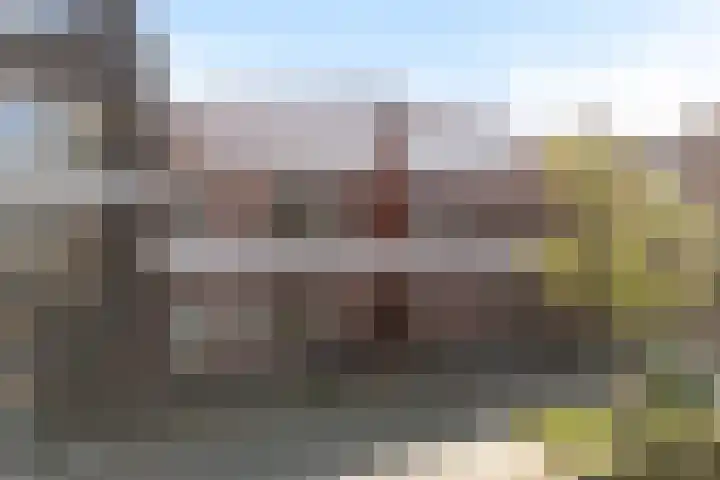 Hof de Volharding 2 Zwolle thumbnail 31
