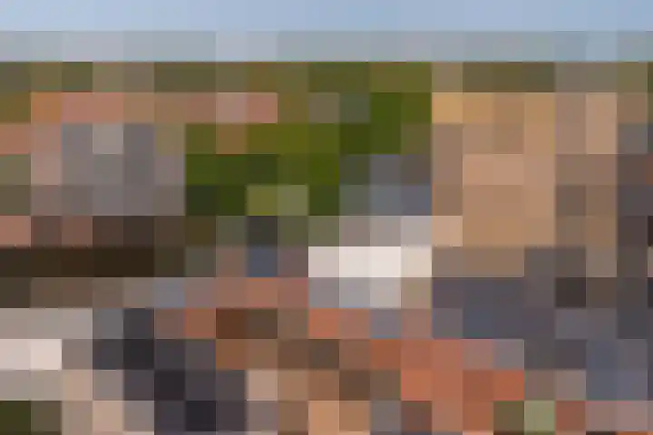 Hof de Volharding 2 Zwolle thumbnail 33