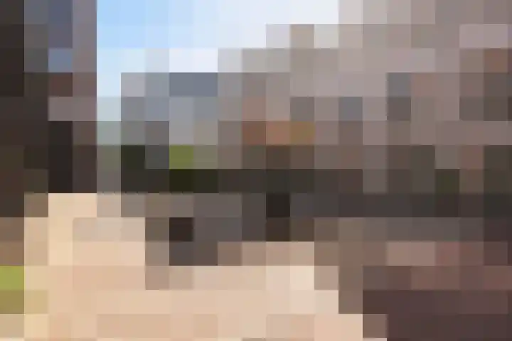Hof de Volharding 2 Zwolle thumbnail 5