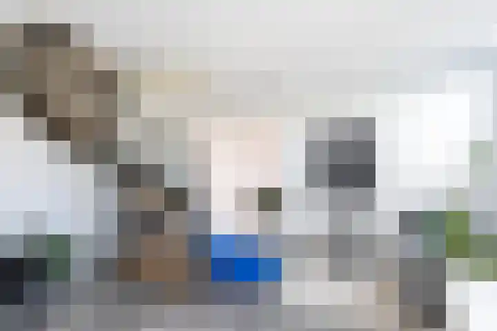Hof de Volharding 2 Zwolle thumbnail 7