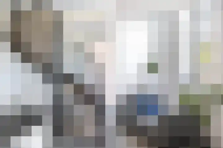 Hof de Volharding 2 Zwolle thumbnail 8