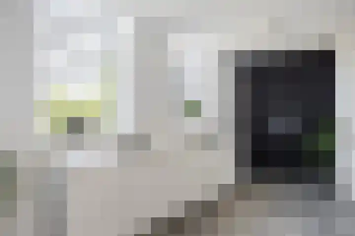 Hof de Volharding 2 Zwolle thumbnail 9
