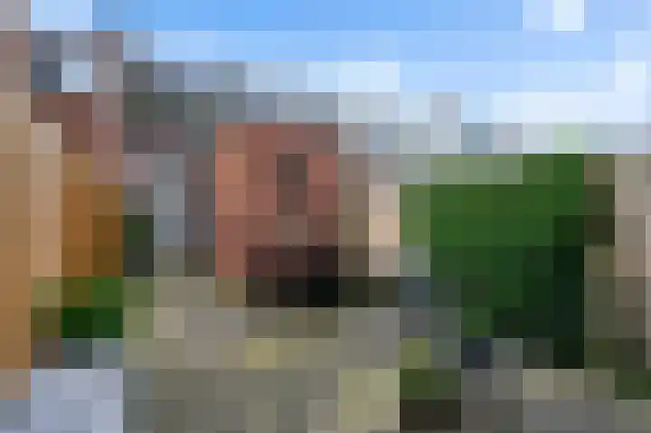Hof de Vriendschap 36 Dordrecht thumbnail 5