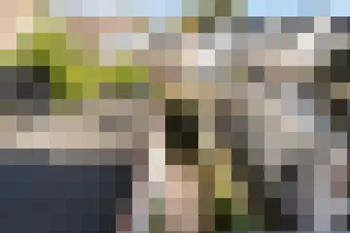 Hof de Vriendschap 4 Dordrecht thumbnail 25