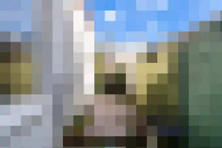Hof de Vriendschap 4 Dordrecht thumbnail 27