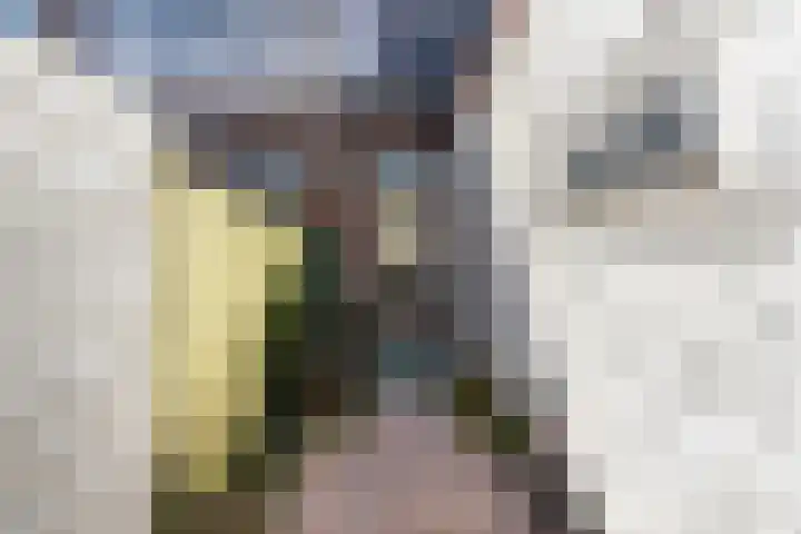 Hof de Vriendschap 4 Dordrecht thumbnail 28
