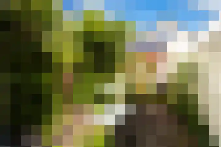 Hof de Vriendschap 4 Dordrecht thumbnail 29