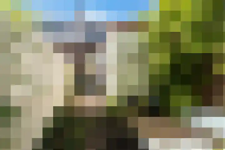 Hof de Vriendschap 4 Dordrecht thumbnail 30