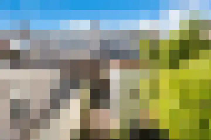 Hof de Vriendschap 4 Dordrecht thumbnail 31