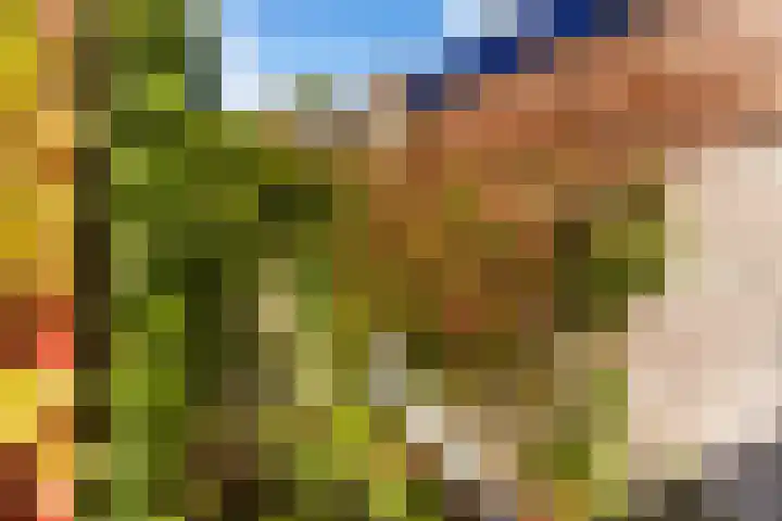 Hof de Vriendschap 4 Dordrecht thumbnail 32