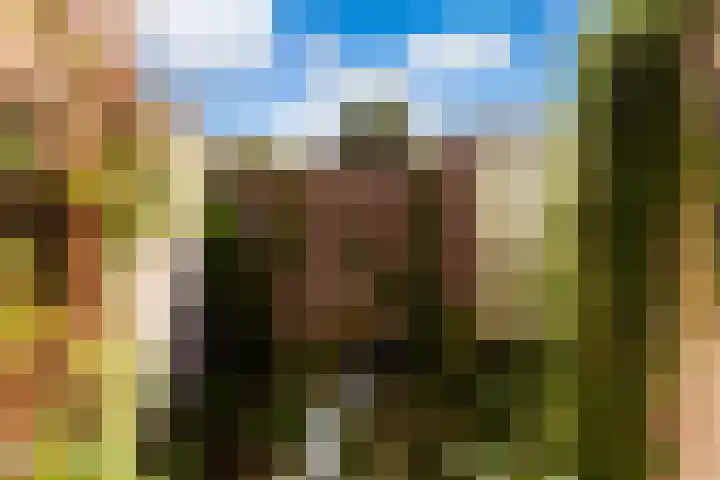 Hof de Vriendschap 4 Dordrecht thumbnail 33