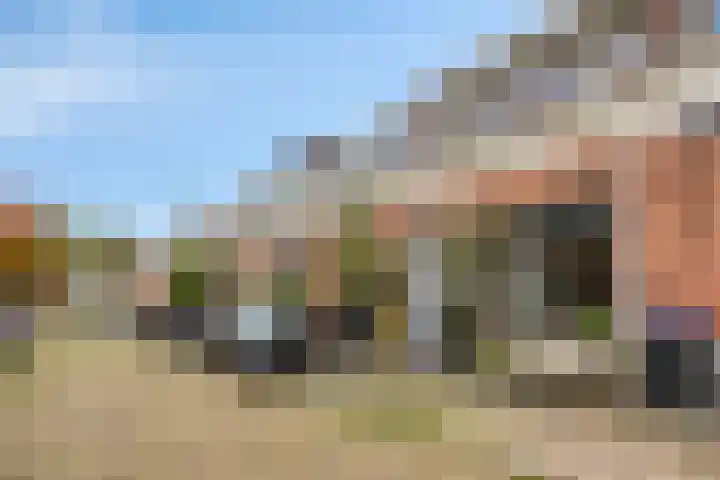 Hof de Vriendschap 48 Dordrecht thumbnail 6