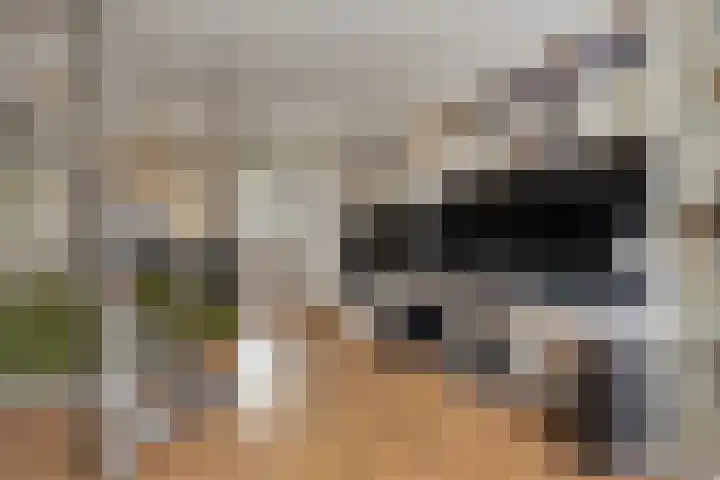 Hof de Vriendschap 48 Dordrecht thumbnail 8
