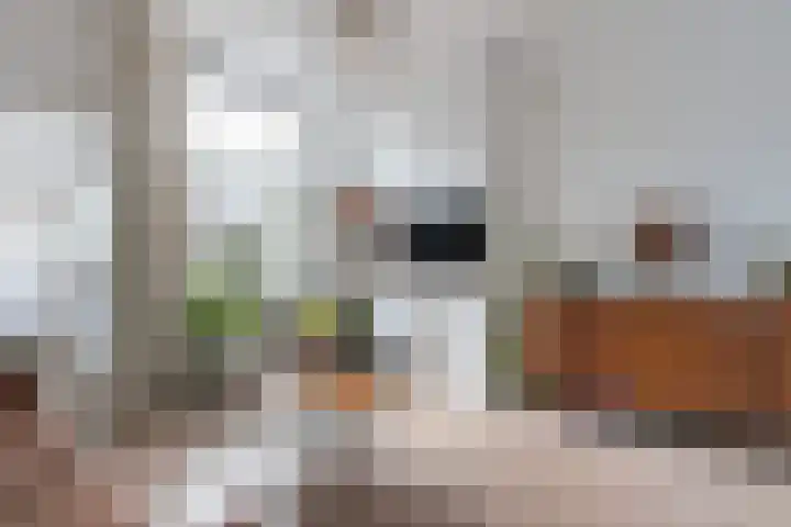 Hof de Vriendschap 9 Dordrecht thumbnail 17