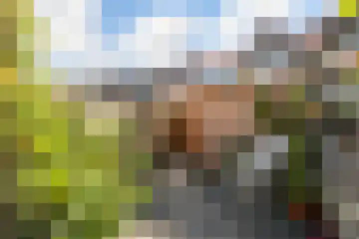 Hof de Vriendschap 9 Dordrecht thumbnail 18