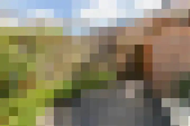 Hof de Vriendschap 9 Dordrecht thumbnail 34