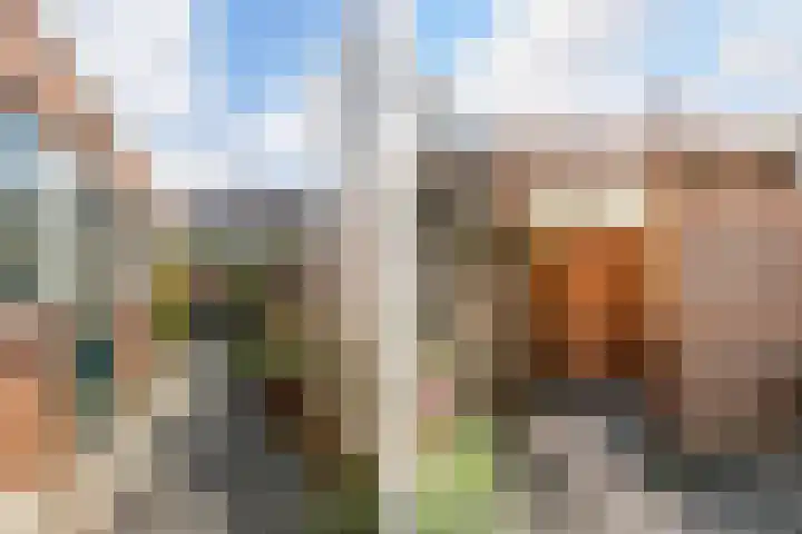 Hof de Vriendschap 9 Dordrecht thumbnail 35