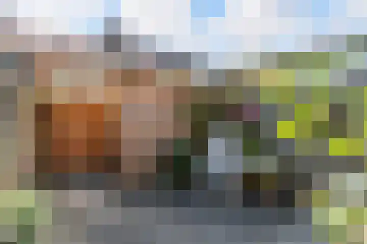 Hof de Vriendschap 9 Dordrecht thumbnail 36