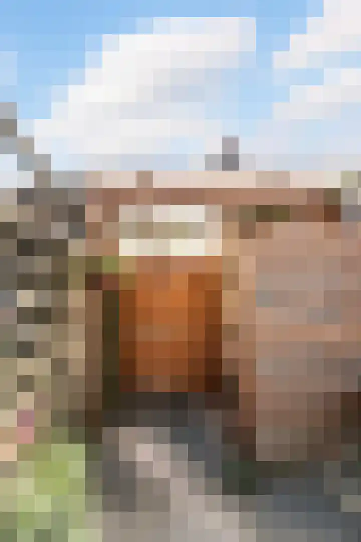 Hof de Vriendschap 9 Dordrecht thumbnail 38