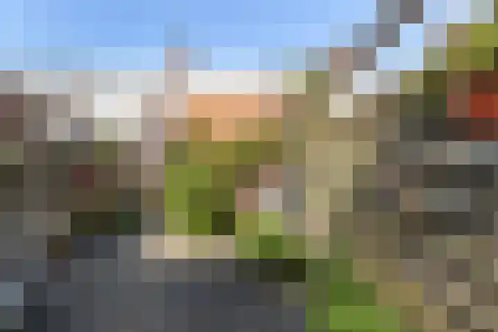 Hof de Vriendschap 9 Dordrecht thumbnail 39