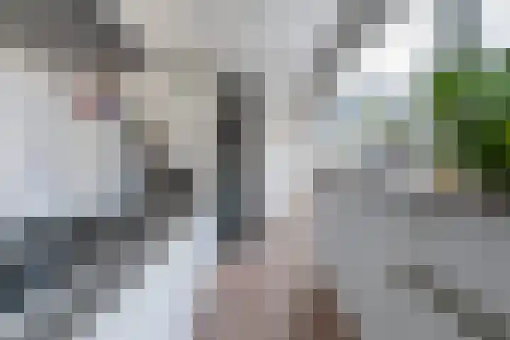 Hof de Vriendschap 9 Dordrecht thumbnail 4
