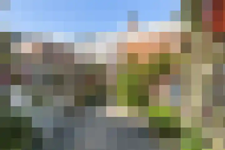 Hof de Vriendschap 9 Dordrecht thumbnail 40