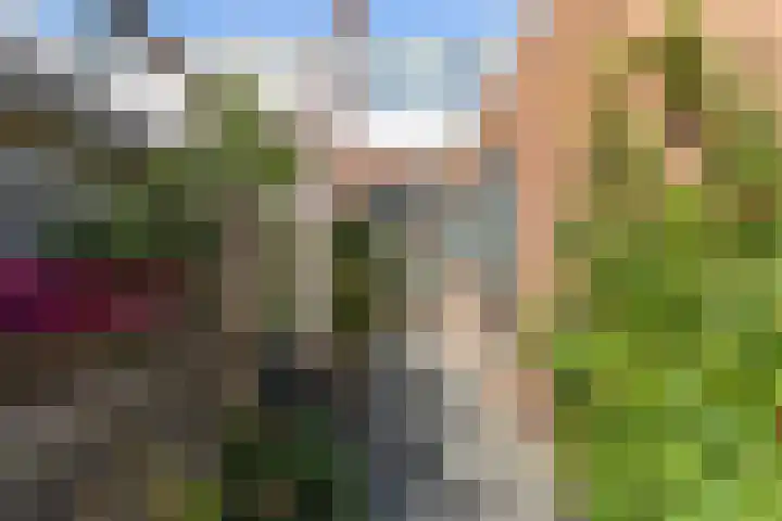 Hof de Vriendschap 9 Dordrecht thumbnail 41