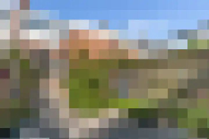 Hof de Vriendschap 9 Dordrecht thumbnail 5