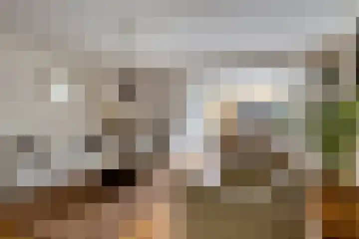 Hof der Herinnering 23 Amersfoort thumbnail 10