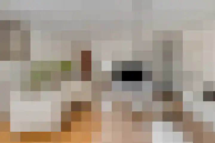 Hof der Herinnering 23 Amersfoort thumbnail 12
