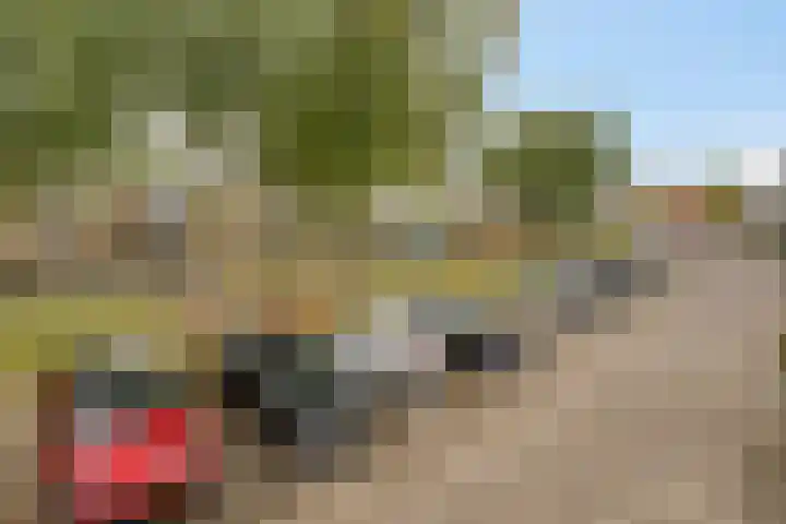 Hof der Herinnering 23 Amersfoort thumbnail 28