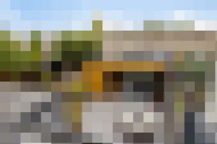 Hof der Herinnering 23 Amersfoort thumbnail 31